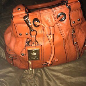 Etienne Aigner purse